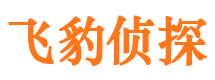 滨江市调查公司